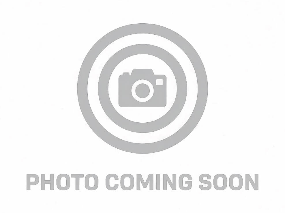 Shark Coast Tactical SCC07091FRAN-P Anime-15 Francis 5.56 NATO 30+1 10.50″ Black Nitride Threaded Barrel, Aluminum Receiver w/Picatinny Rail, M-LOK Handguard, Polymer SB Tactical SBA3 Brace, Polymer G